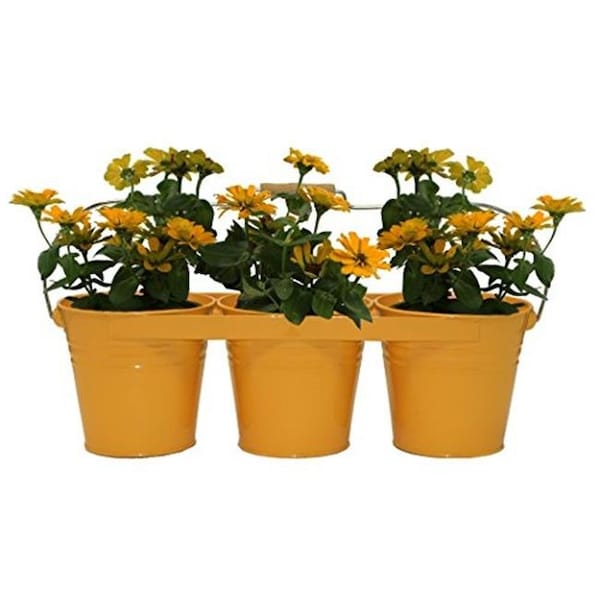 Houston International Trading 8333E SAFF Enameled Galvanized Triple Planter with Wood Handle for 6.5 Pots; Saffron 8333E SAFF - main